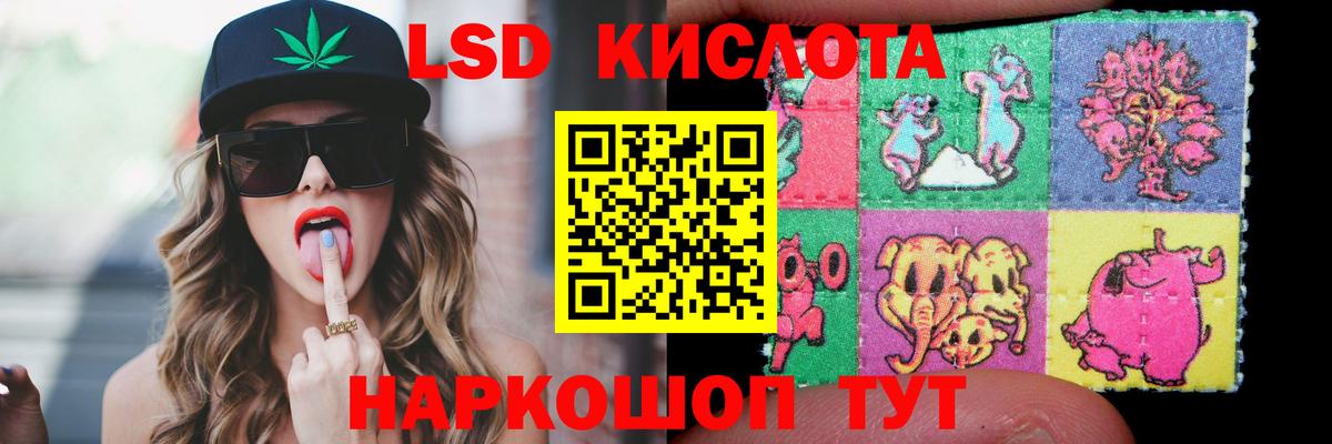 Курчатов  Лсд 25 экстази ecstasy  Лсд 25 экстази ecstasy  Вход с VPN 