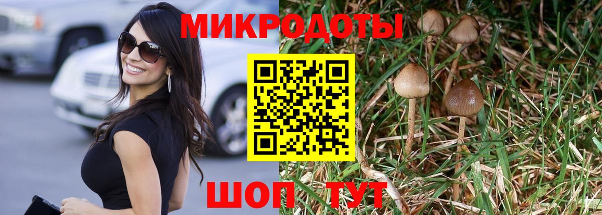 Псилоцибиновые грибы мицелий Курчатов