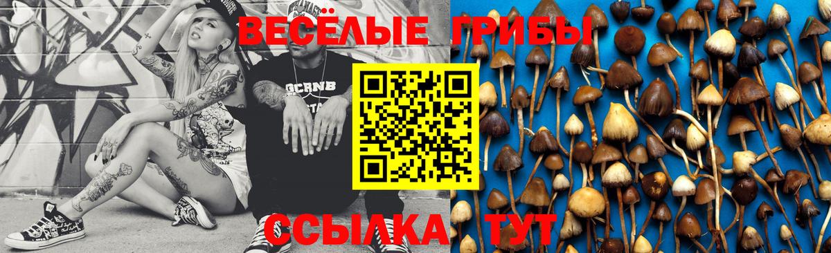 Курчатов  Псилоцибиновые грибы Magic Shrooms  Вход с VPN 